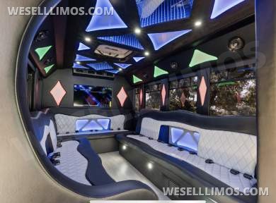 2014 Coach builder Ford E450 Limo Bus