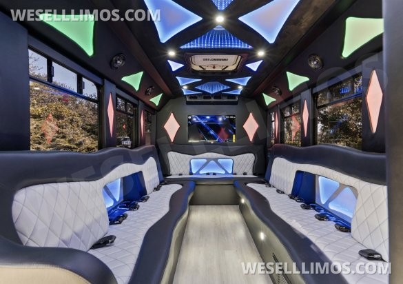 2014 Coach builder Ford E450 Limo Bus