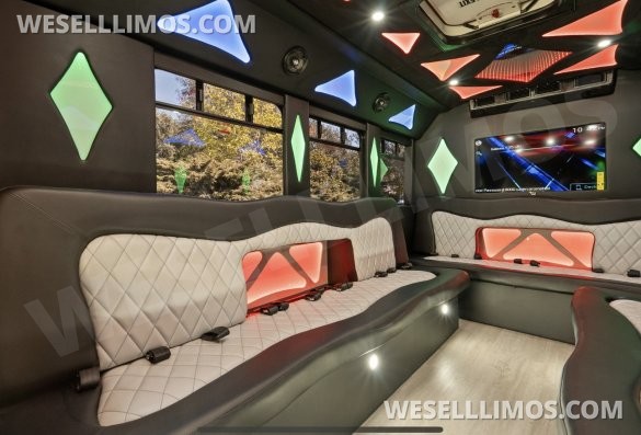 2014 Coach builder Ford E450 Limo Bus
