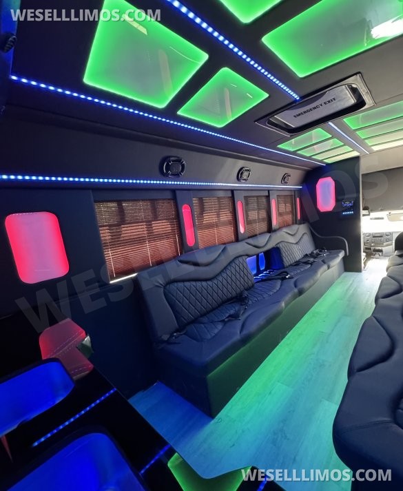 2014 Coach builder Ford E450 Limo Bus