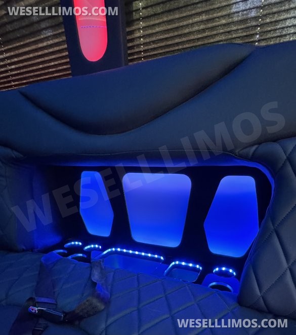 2014 Coach builder Ford E450 Limo Bus