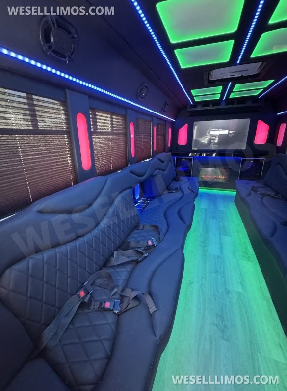 2014 Coach builder Ford E450 Limo Bus
