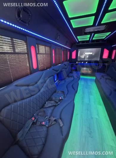 2014 Coach builder Ford E450 Limo Bus