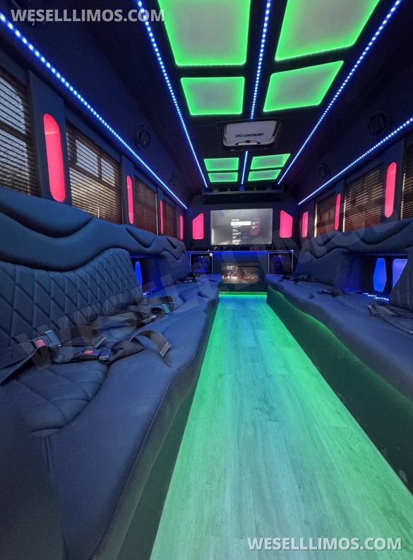 2014 Coach builder Ford E450 Limo Bus