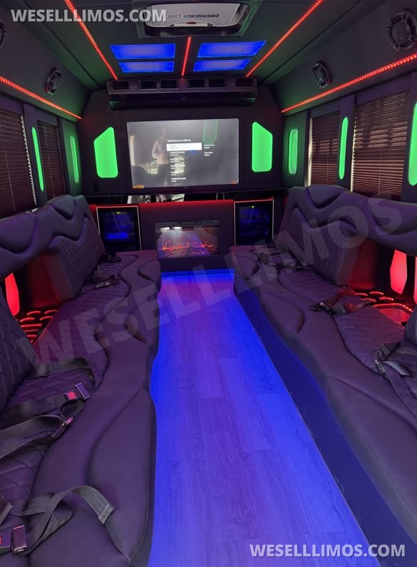 2014 Coach builder Ford E450 Limo Bus