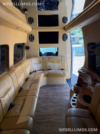 2011 Mercedes-Benz Sprinter 2500 Limo Bus