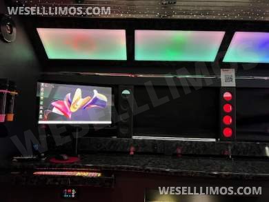 2017 Ford E-450 Karaoke Bus