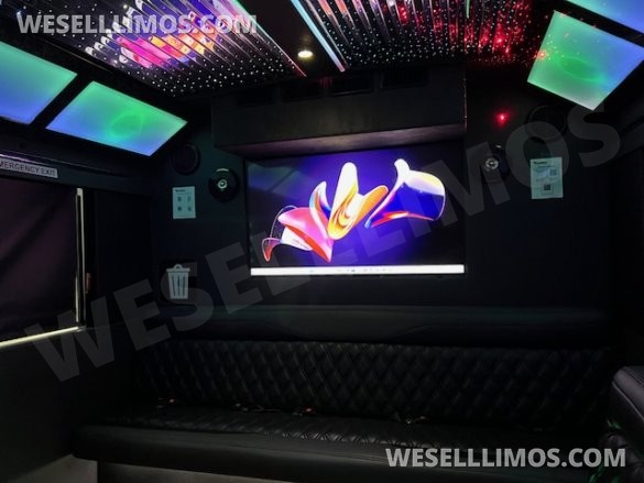 2017 Ford E-450 Karaoke Bus