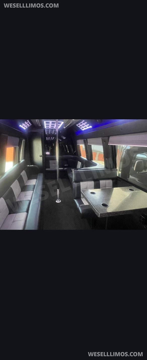 2016 Ameritrans Ford E450 Limo Bus