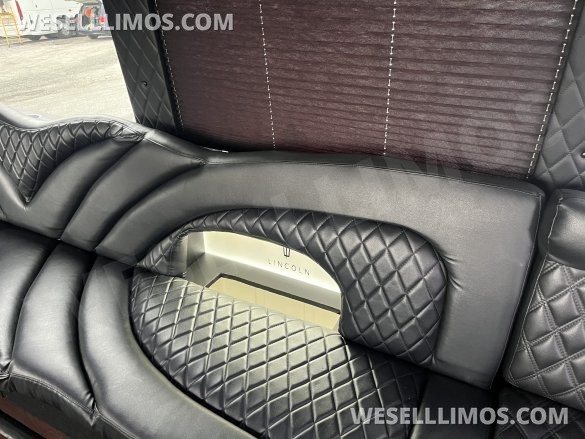 2016 Ford Ford F 550 Limo Bus