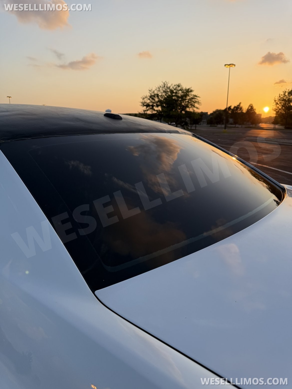 Photo of Limousine for sale: 2014 Chrysler 300 140&quot;