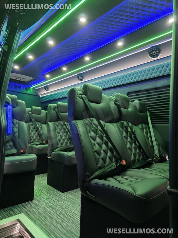 2025 Global Motor Coach Mercedes-Benz Sprinter Executive Shuttle Sprinter