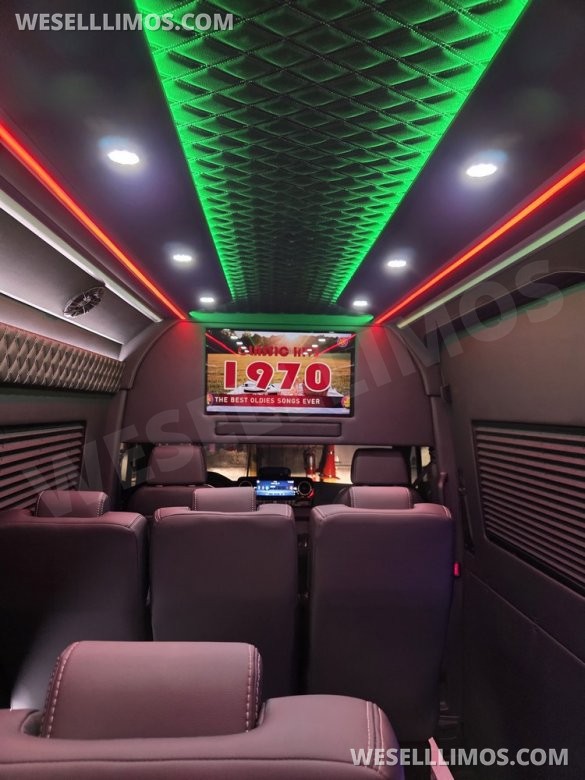 2025 Global Motor Coach Mercedes-Benz Sprinter Executive Shuttle Sprinter