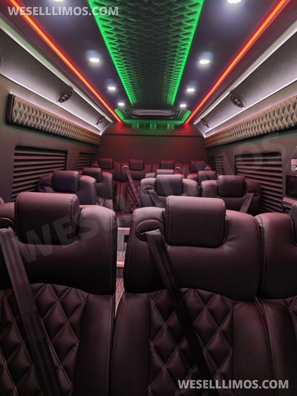 2025 Global Motor Coach Mercedes-Benz Sprinter Executive Shuttle Sprinter