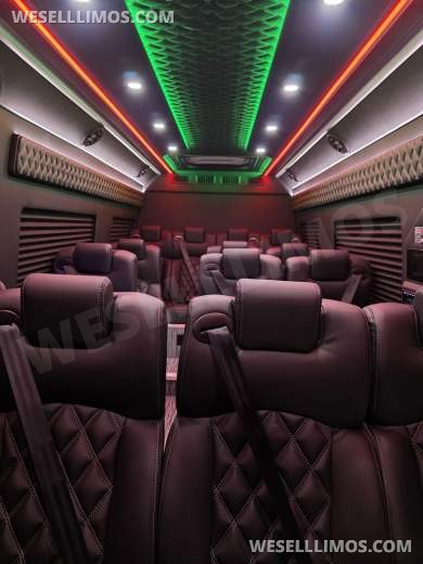 2025 Global Motor Coach Mercedes-Benz Sprinter Executive Shuttle Sprinter