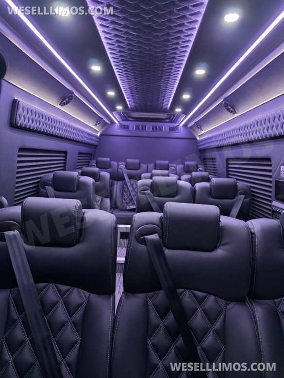 2025 Global Motor Coach Mercedes-Benz Sprinter Executive Shuttle Sprinter