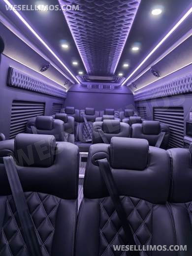 2025 Global Motor Coach Mercedes-Benz Sprinter Executive Shuttle Sprinter