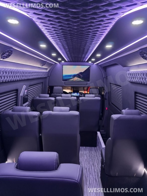 2025 Global Motor Coach Mercedes-Benz Sprinter Executive Shuttle Sprinter