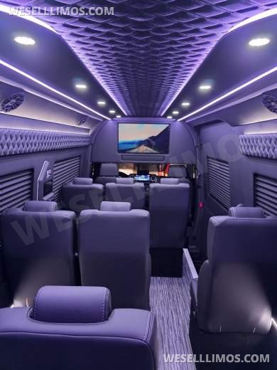 2025 Global Motor Coach Mercedes-Benz Sprinter Executive Shuttle Sprinter