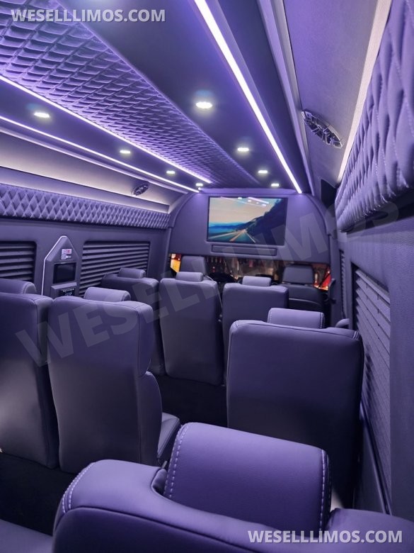 2025 Global Motor Coach Mercedes-Benz Sprinter Executive Shuttle Sprinter