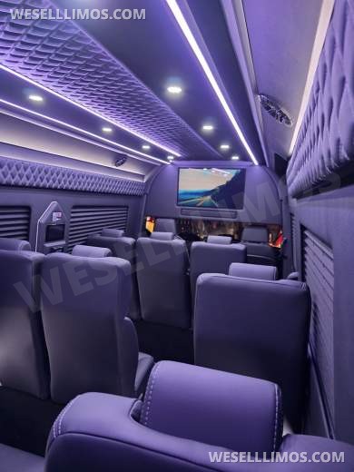 2025 Global Motor Coach Mercedes-Benz Sprinter Executive Shuttle Sprinter