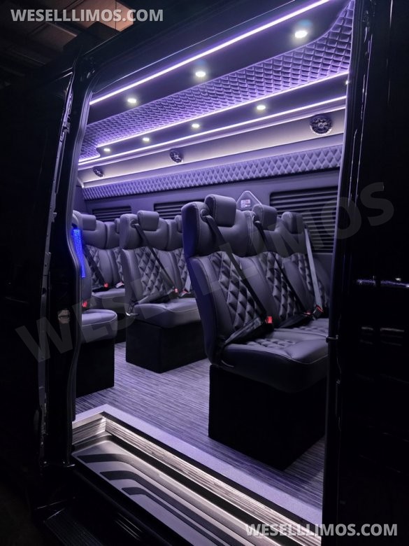 2025 Global Motor Coach Mercedes-Benz Sprinter Executive Shuttle Sprinter