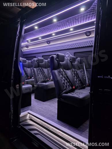2025 Global Motor Coach Mercedes-Benz Sprinter Executive Shuttle Sprinter