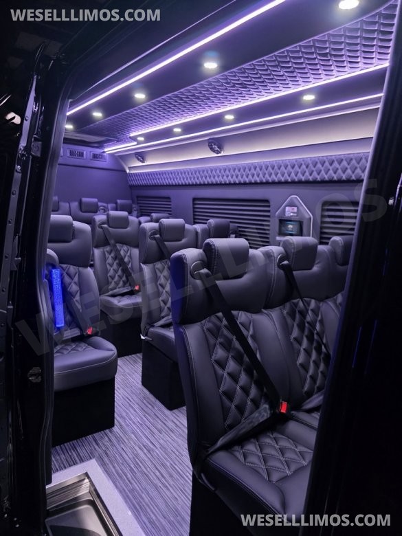 2025 Global Motor Coach Mercedes-Benz Sprinter Executive Shuttle Sprinter