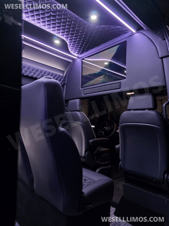 2025 Global Motor Coach Mercedes-Benz Sprinter Executive Shuttle Sprinter