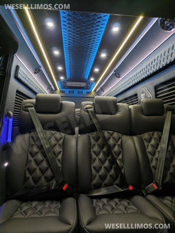 2025 Global Motor Coach Mercedes-Benz Sprinter Executive Shuttle Sprinter