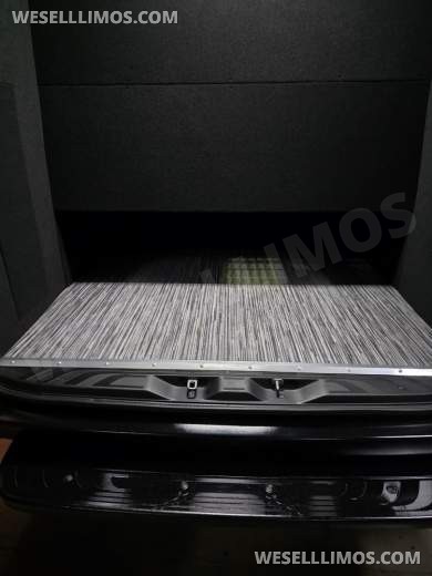 2025 Global Motor Coach Mercedes-Benz Sprinter Executive Shuttle Sprinter