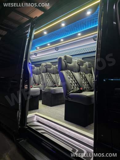 2025 Global Motor Coach Mercedes-Benz Sprinter Executive Shuttle Sprinter