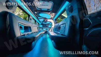 2021 Cadillac Escalade ESV Limousine