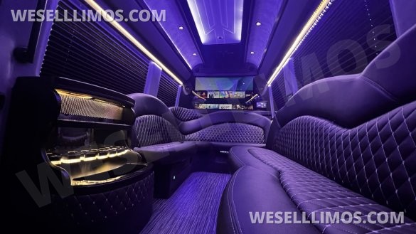 2023 Mercedes-Benz Sprinter 3500 170 Ext Limo By Executive Coach Builders