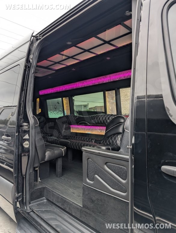 2021 Mercedes-Benz Sprinter 3500 Limo (First Class Customs)