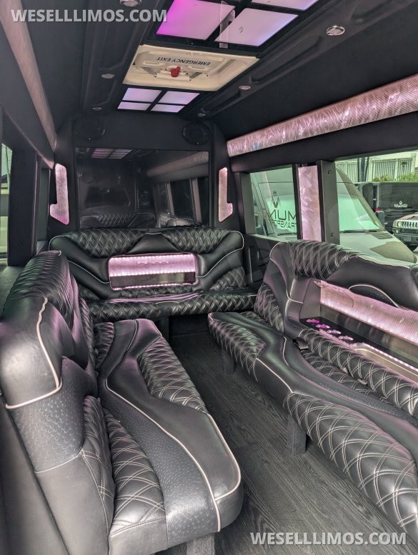 2021 Mercedes-Benz Sprinter 3500 Limo (First Class Customs)