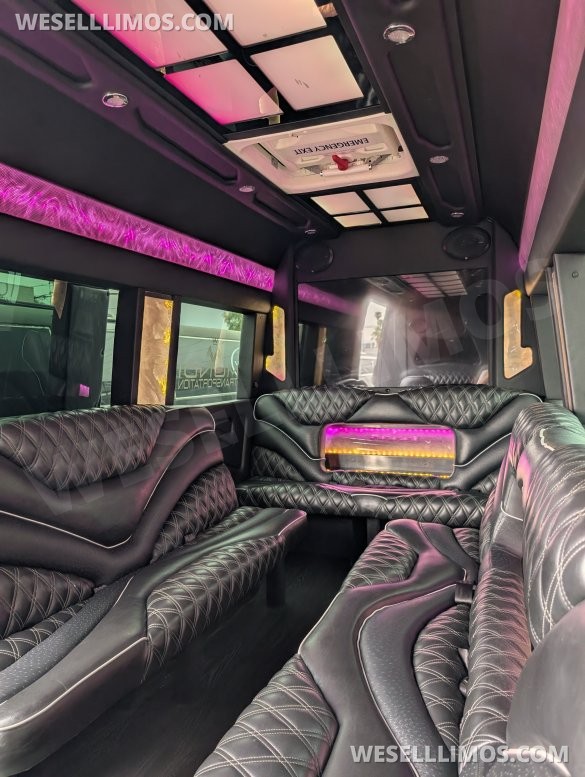 2021 Mercedes-Benz Sprinter 3500 Limo (First Class Customs)
