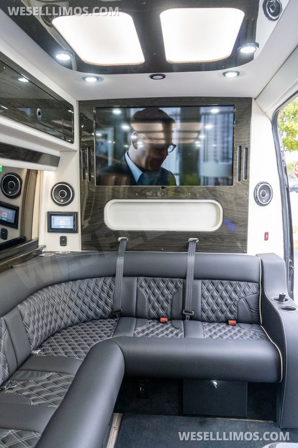 2025 Midwest Automotive Design Mercedes-Benz Professional Limo Sprinter