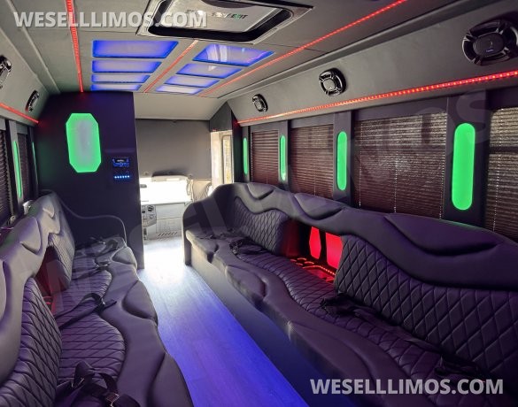 2017  Tiffany Ford E450 Limo Bus