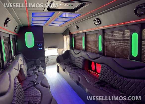 2017  Tiffany Ford E450 Limo Bus