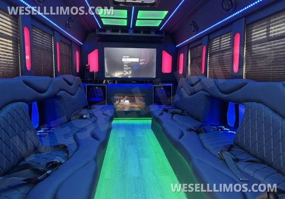 2017  Tiffany Ford E450 Limo Bus