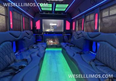 2017  Tiffany Ford E450 Limo Bus