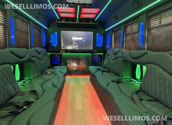 2017  Tiffany Ford E450 Limo Bus