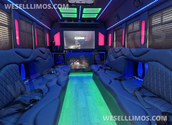 2017  Tiffany Ford E450 Limo Bus