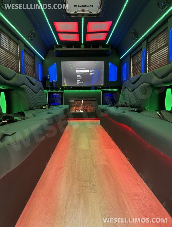 2017  Tiffany Ford E450 Limo Bus