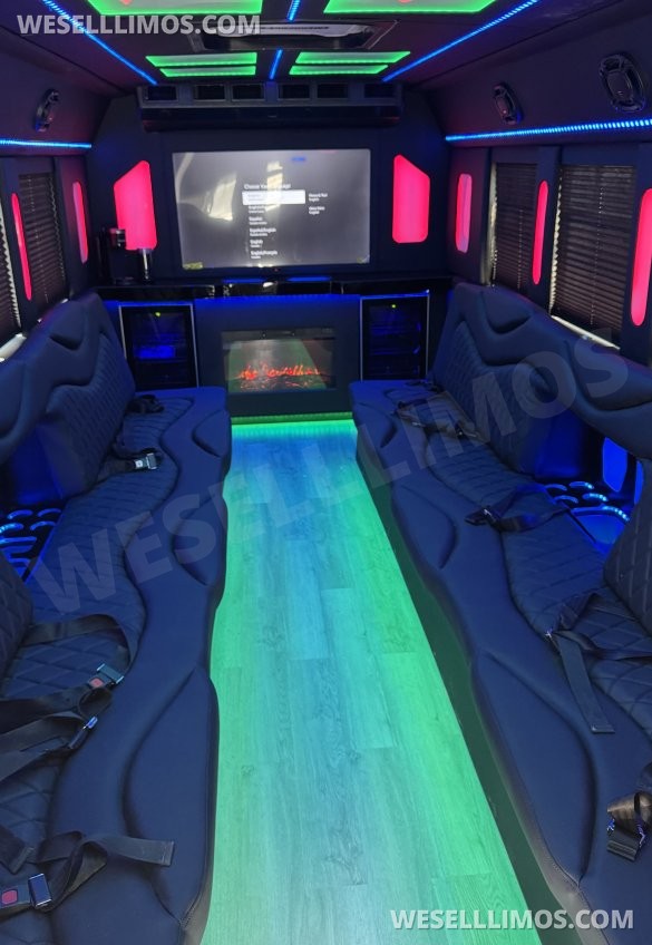 2017  Tiffany Ford E450 Limo Bus