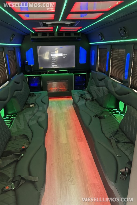 2017  Tiffany Ford E450 Limo Bus