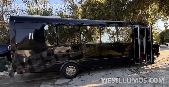 2017  Tiffany Ford E450 Limo Bus