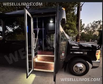 2017  Tiffany Ford E450 Limo Bus