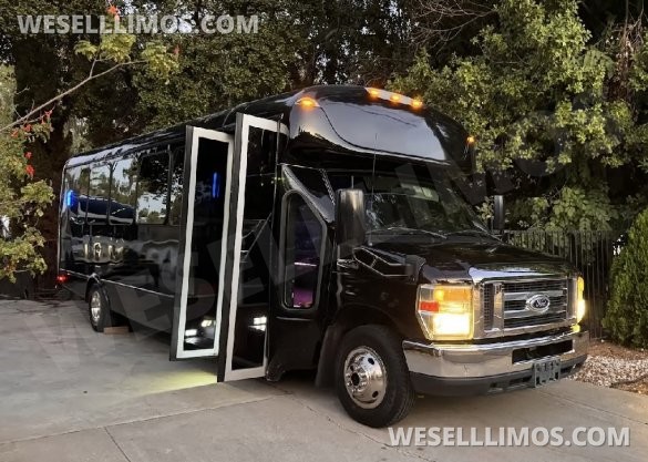 2017  Tiffany Ford E450 Limo Bus for sale